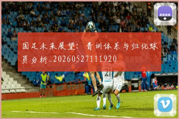 国足未来展望：青训体系与归化球员分析_20260527111920